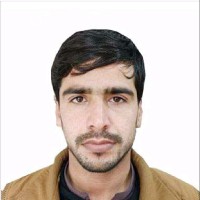 Amir Hussain