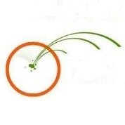 Orange Retail Online