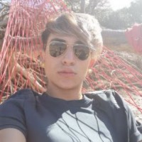 Daniel Palma