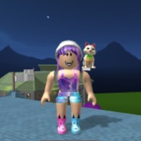 I love to play roblox