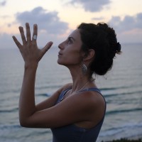 Lee Shalom