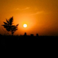 هاني طه
