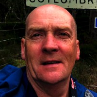 Stewart Stocks