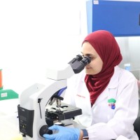 Zeinab Bakr