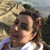 Fatemeh Soleymani