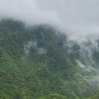 陈志发