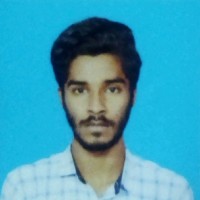 Elayaraja R