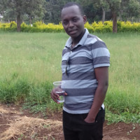 lewis mlekwa