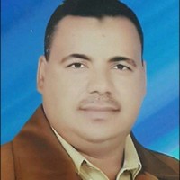 Saeed Saber