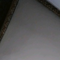 لمونس لمونس