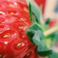 朱家慧