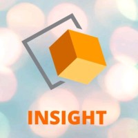 Insight IRS
