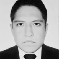 Javier Alejandro Mendoza Velasco