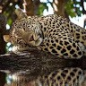 Mary Zotea