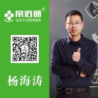 杨海涛