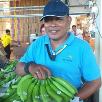 Ramos Rene