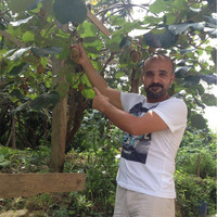 Yusuf Yüksekdag