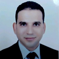 Ali Amer