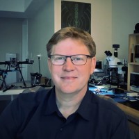 David Ohm