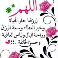 احمد الجندي