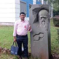 Zulfikar Rashed