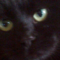 Maria Cristina Boccato