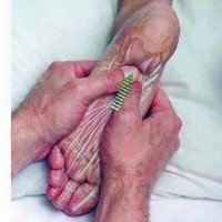 Dr. leak kwak celestial