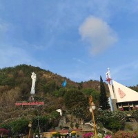 Vũ Hoàng Châu