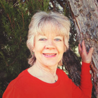Dianne Jeffries