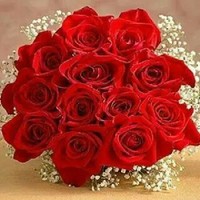 Tariq Arat