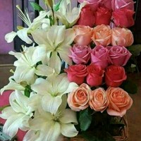Shrinivas Aglave