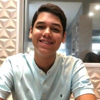 Luca Amaral Alvanham De Souza