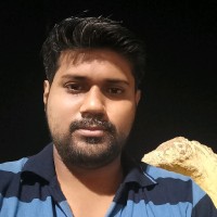 Satheesh Kumar L D