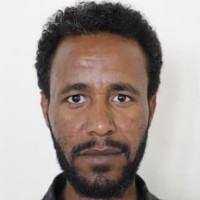 feleke defersha