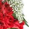 asha begum