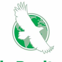 Eagle Realty LLC