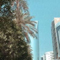 أنوار الشمري