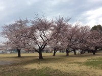 梁风银