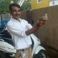 Anand J Rathod