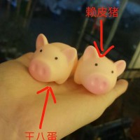 赖东东