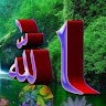 Shahriar Asif