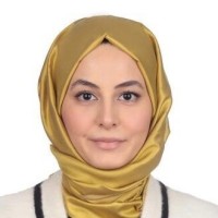 zeynep çakır