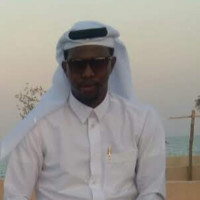 حسام الدين محمد عثمان