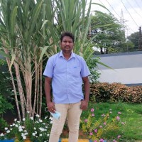 Bala Subramanian