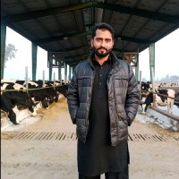 M Adeel Arshad