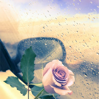 ندى الزهراني