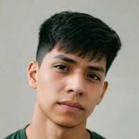 Leandro Felix Vallejos Pozo