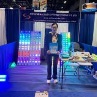 MayBee Wu ( Aidisen led lighting company )