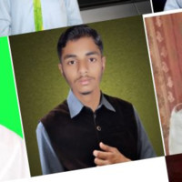 Hafiz M Usman