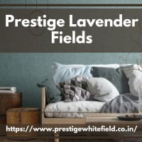 Prestige Lavender Fields